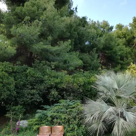 Bed & Breakfast Bb Delcondotto *