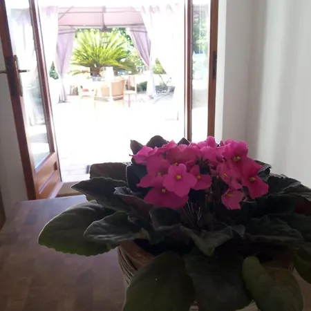 Panzió Bb Delcondotto