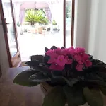 Bed & Breakfast Bb Delcondotto