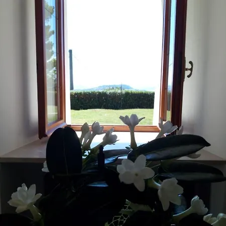 Bb Delcondotto Bed and breakfast