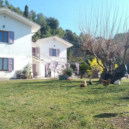 Bb Delcondotto Ancona